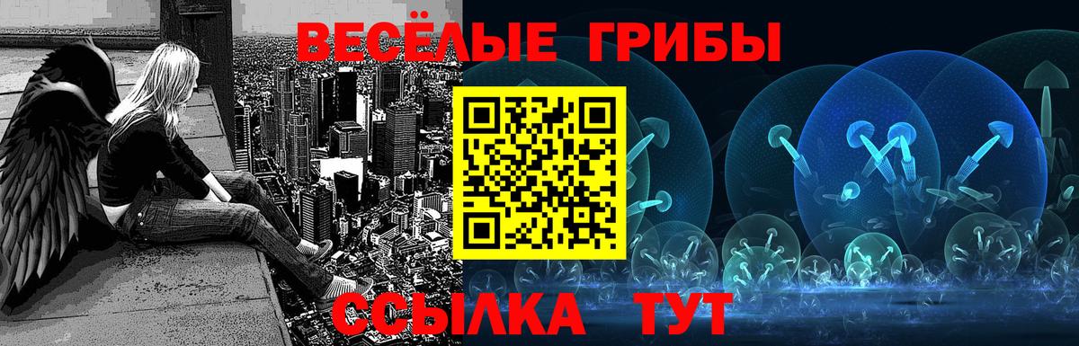 Галлюциногенные грибы Cubensis  Вход с VPN  Бахчисарай 