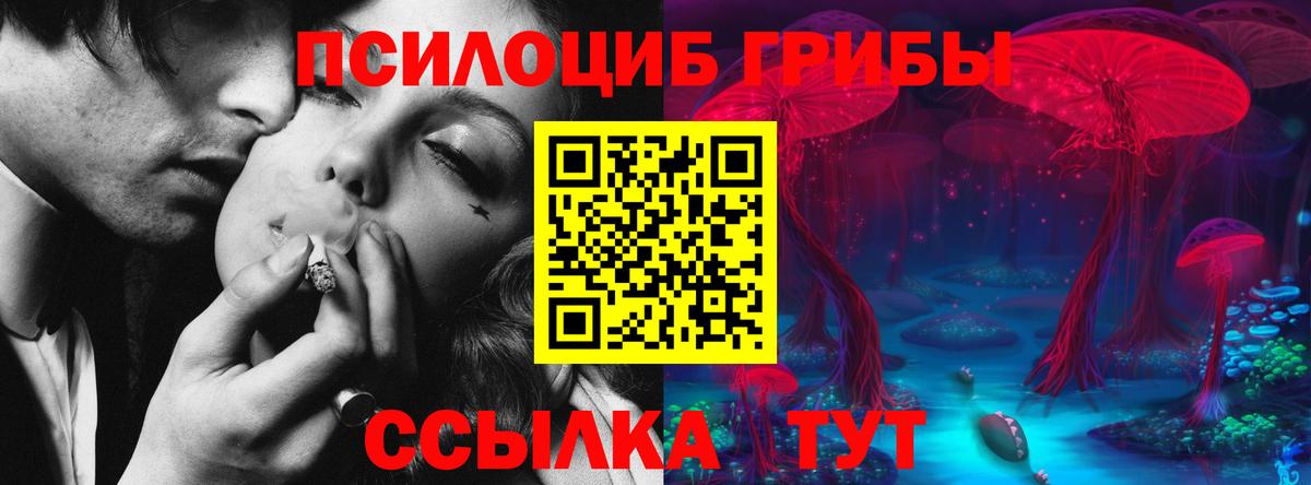Галлюциногенные грибы Psilocybine cubensis Бахчисарай